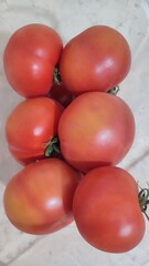 tomatoes on the vine