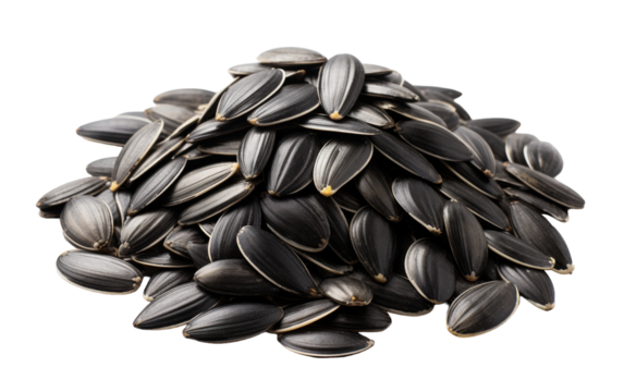 Sunflower seeds gathered in a joyful pile on a clean white background