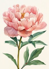 Vintage Watercolor Peony Flower Art Generative AI