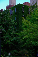 People by a building