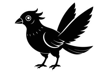  silhouette image,Bingo bird,vector illustration,white background