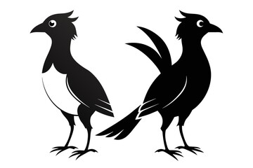 silhouette image,Bruno bird ,vector illustration,white background