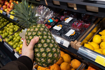 Pineapple in the hands of the buyer in grocery store. Buyer selects fresh pineapple indoors at food...