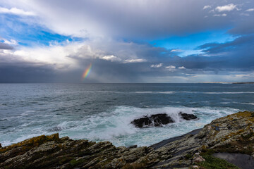 Nature never stops surprising me!