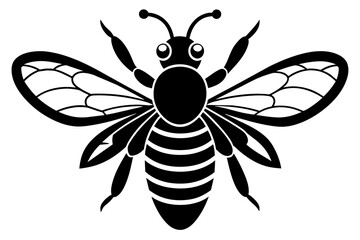 bee vector illustration