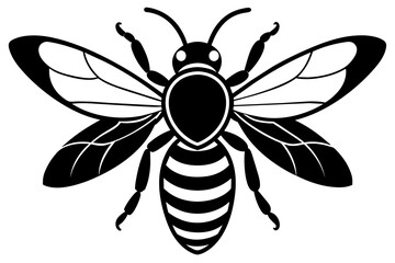 bee vector illustration