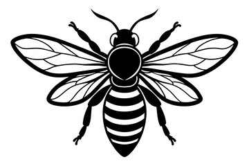 Fototapeta premium bee vector illustration