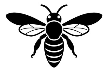 bee vector illustration