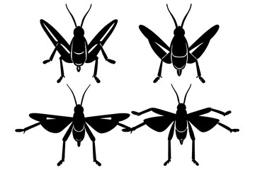 grasshopper vector illustration