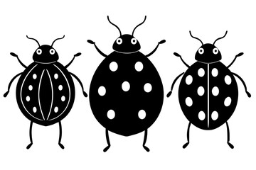 ladybug vector illustration