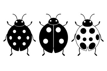 ladybug vector illustration