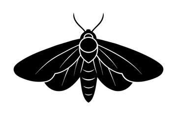 moth silhouette vector illustration