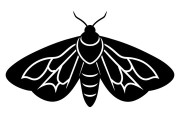 moth silhouette vector illustration