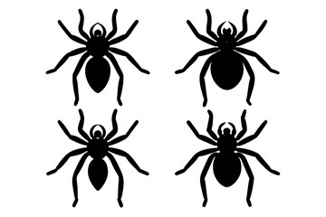 spider vector illustration