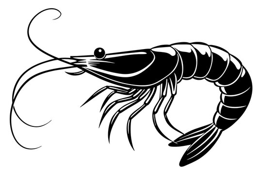 recommend clip art: shrimp silhouette vector illustration