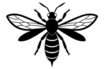 wasp vector illustration