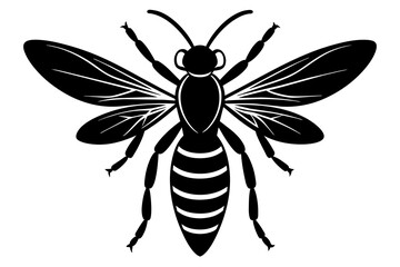 wasp vector illustration