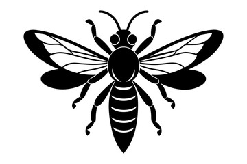 wasp vector illustration