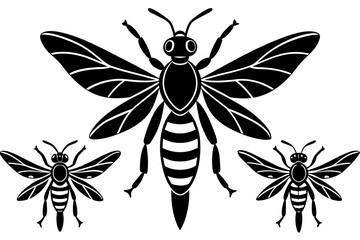 wasp vector illustration