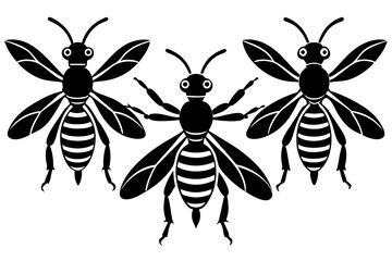 wasp vector illustration