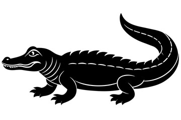  alligator vector illustration