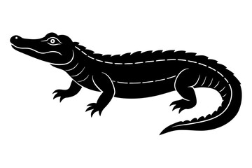  alligator vector illustration