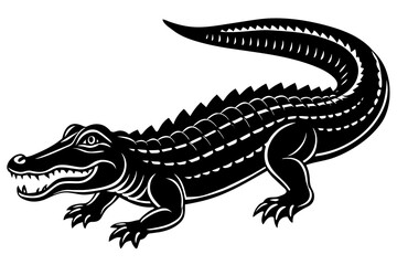  alligator vector illustration