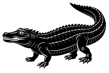  alligator vector illustration