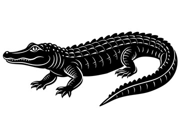  alligator vector illustration