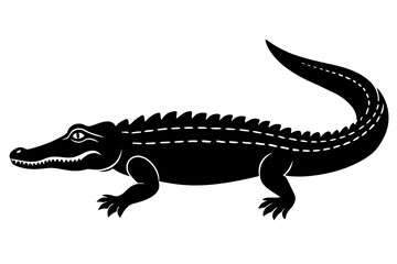 crocodile vector illustration