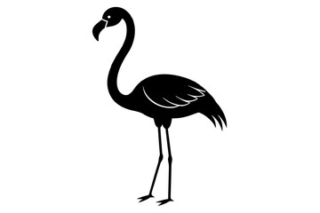 Fototapeta premium flamingo vector illustration