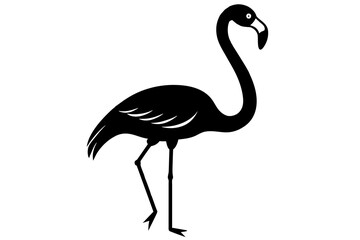flamingo vector illustration