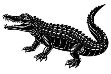 crocodile vector illustration