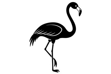 Obraz premium flamingo vector illustration