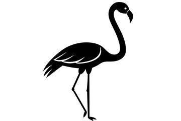 flamingo vector illustration
