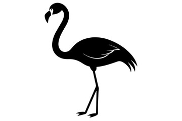 Fototapeta premium flamingo vector illustration