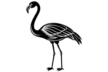 flamingo vector illustration