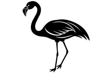Fototapeta premium flamingo vector illustration