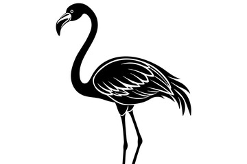 flamingo vector illustration