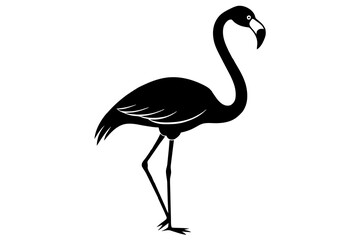 Fototapeta premium flamingo vector illustration