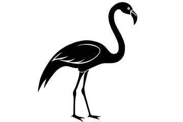 Fototapeta premium flamingo vector illustration