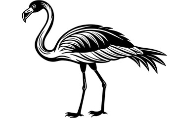 flamingo vector illustration