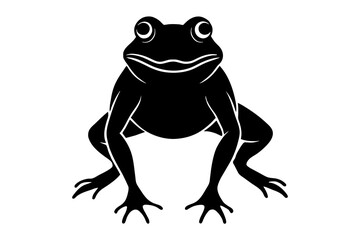 frog vector illustration