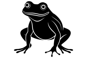 frog vector illustration