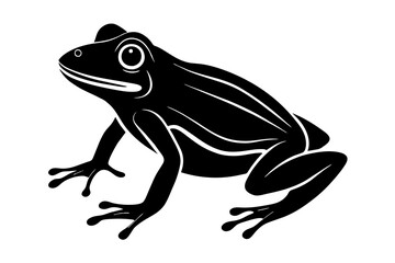 frog vector illustration