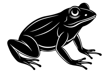 frog vector illustration