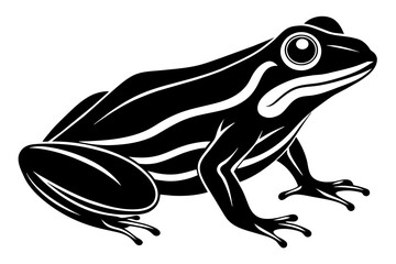frog vector illustration