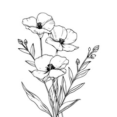 Outline floral, flower, Hand drawn Vector illustration. Isolated design elements. Poster, print, card, decoration element