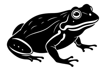 toad silhouette vector illustration
