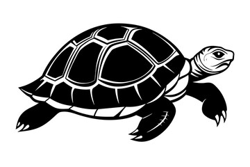 turtle silhouette vector illustration
